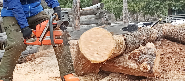 Douglas fir firewood